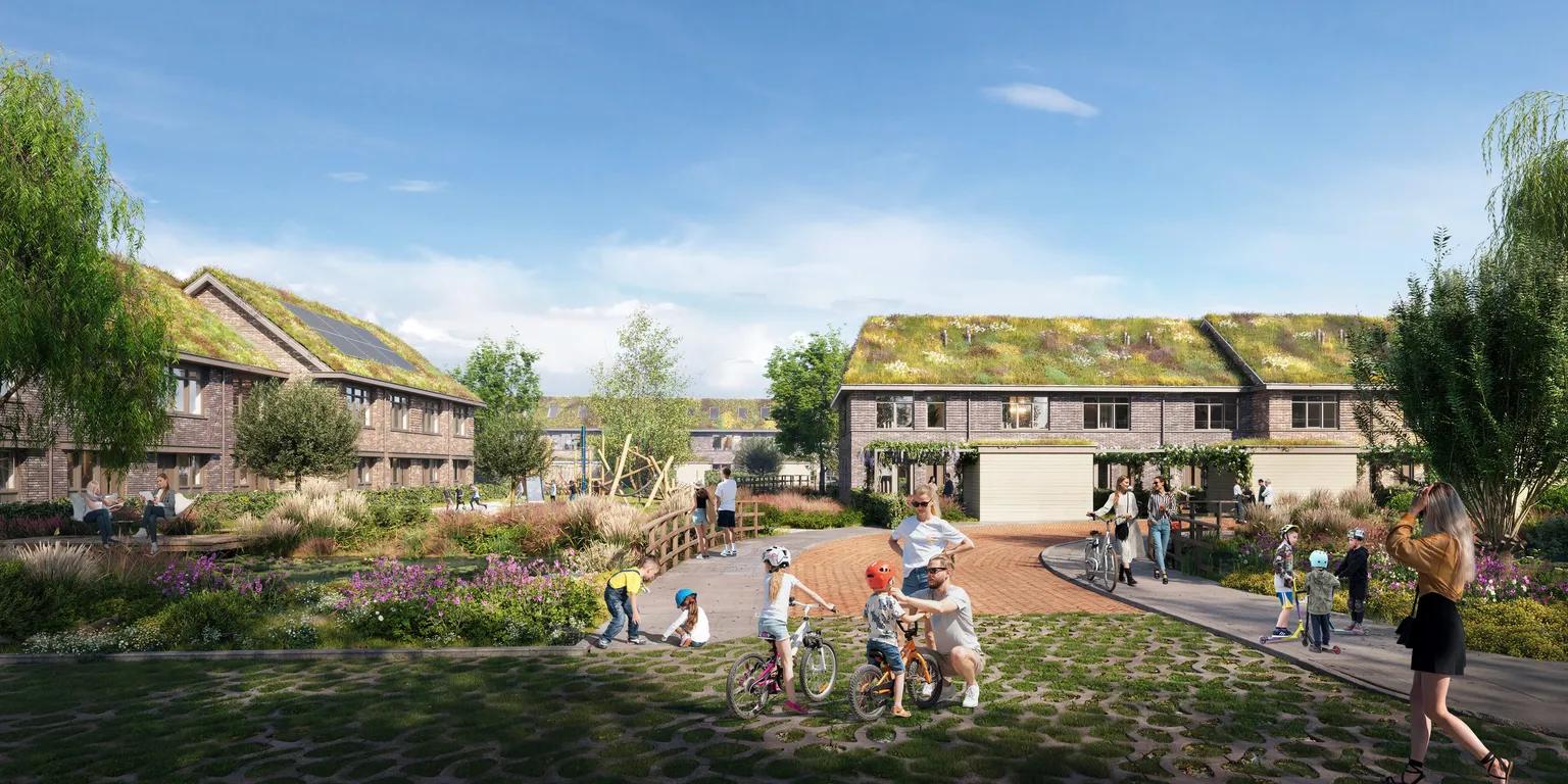 Rijwoning Korenbloem