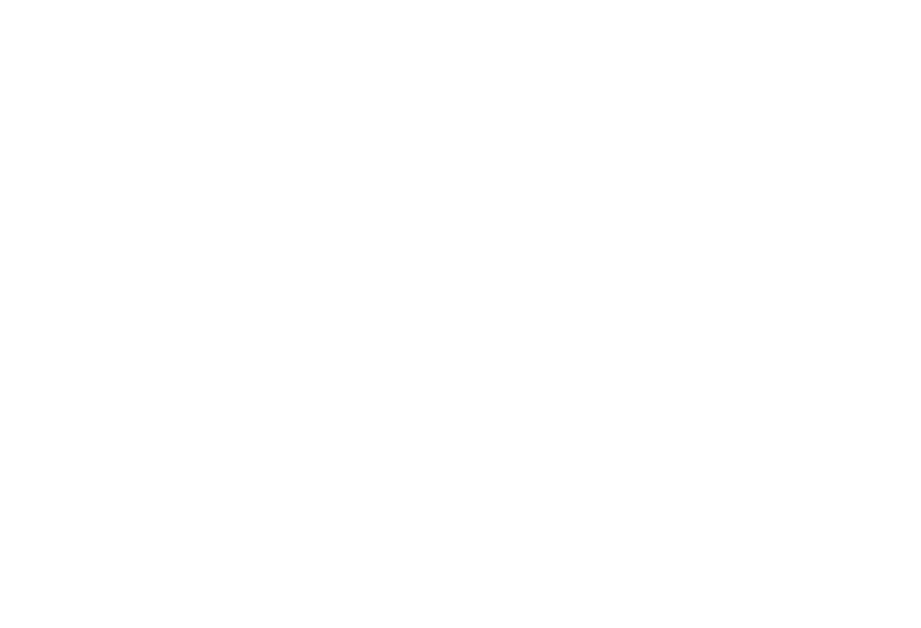 New Roots - Fase 2